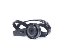 RIDEX 542R1047 Kit Cinghie Poly-V per FIAT Scudo Kastenwagen (220)