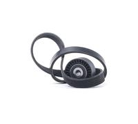 RIDEX 542R1054 Kit Cinghie Poly-V per OPEL Crossland X (P17) per CITROËN DS3