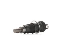 RIDEX 571T0043 Tendicatena distribuzione