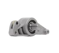 RIDEX 571T0095 Tendicatena distribuzione