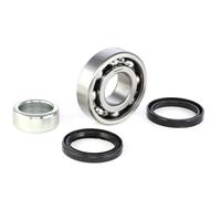 RIDEX 654W0484 Kit cuscinetto ruota