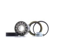 RIDEX 654W0900 Kit cuscinetto ruota