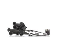 RIDEX 685I0065 Kit cavi candele