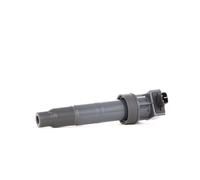 RIDEX 689C0193 Bobina d'accensione 12V per HYUNDAI SANTA FÉ II (CM)
