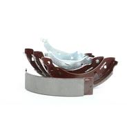 RIDEX 70B0137 Kit ganasce freni 203mm per RENAULT CLIO II (BB0/1/2, CB0/1/2)