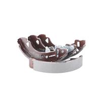 RIDEX 70B0201 Kit ganasce freni Posteriore Ganasce Freno Ganasce freni Kit ganasce freno