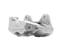 RIDEX 78B0054 Pinza freno