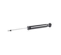 RIDEX 854S0317 2x Ammortizzatore Posteriore A pressione del gas Ammortizzatori