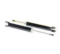 RIDEX 854S0891 Ammortizzatore