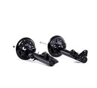 RIDEX 854S1598 Ammortizzatore