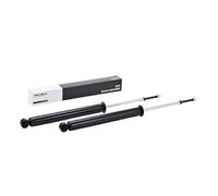 RIDEX 854S1712 2x Ammortizzatore Posteriore per FIAT BRAVO II (198)
