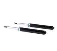 RIDEX 854S1725 Ammortizzatore