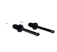 RIDEX 854S1753 Ammortizzatore