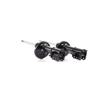 RIDEX 854S1793 Ammortizzatore