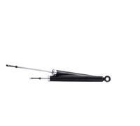 RIDEX 854S2091 Ammortizzatore