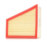 RIDEX 8A0017 Filtro aria