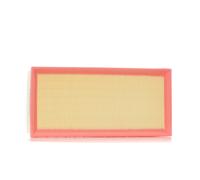 RIDEX 8A0050 Filtro aria