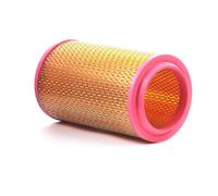 RIDEX 8A0083 Filtro aria per ALFA ROMEO GT (937) per LANCIA THESIS (841AX)