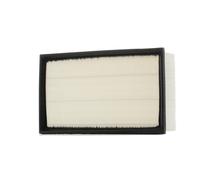 RIDEX 8A0160 Filtro aria