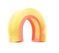 RIDEX 8A0173 Filtro aria