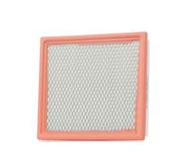 RIDEX 8A0301 Filtro aria