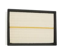 RIDEX 8A0401 Filtro aria con prefiltro Compatibilità con VW POLO 9N