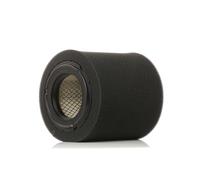 RIDEX 8A0575 Filtro aria per JEEP COMPASS (MK49) per DODGE Caliber Schrägheck