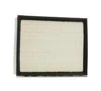 RIDEX 8A0650 Filtro aria