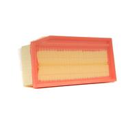 RIDEX 8A1622 Filtro aria motore Cartuccia filtro con prefiltro