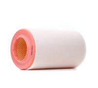 RIDEX 8A1641 Filtro aria per FIAT Ducato Kastenwagen (250, 290)