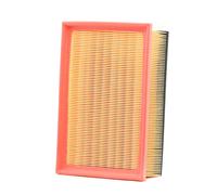 RIDEX 8A1646 Filtro aria adatto per PEUGEOT 206 Schrägheck (2A/C) 307 (3A/C)