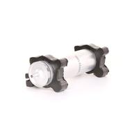 RIDEX 9F0065 Filtro carburante Filtro combustibile per BMW 3 Limousine (E46)