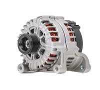 RIDEX Alternatore 220A 14V per BMW X5 (E70) 5 Limousine (F10) X6 (E71, E72)