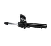 RIDEX Ammortizzatore Anteriore Dx A pressione del gas Ammortizzatori 854S0027