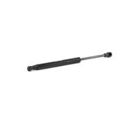 RIDEX Ammortizzatore pneumatico Lunotto posteriore 2454G0015 bilaterale 313