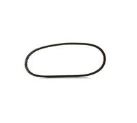 RIDEX PLUS 10C0008P Cinghia trapezoidale