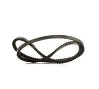 RIDEX PLUS 10C0045P Cinghia trapezoidale