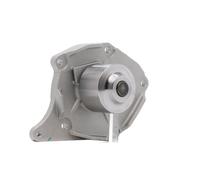 RIDEX PLUS 1260W0016P Pompa acqua