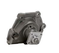 RIDEX PLUS 1260W0071P Pompa acqua