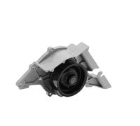 RIDEX PLUS 1260W0073P Pompa acqua