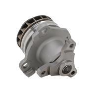 RIDEX PLUS 1260W0211P Pompa acqua