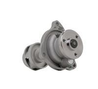 RIDEX PLUS 1260W0219P Pompa acqua