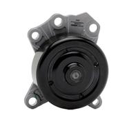 RIDEX PLUS 1260W0676P Pompa acqua