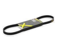 RIDEX PLUS 305P0010P Cinghia servizi Cinghia Poly-V Cinghia alternatore Cinghia dei servizi