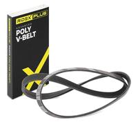 RIDEX PLUS 305P0062P Cinghia servizi Compatibilità con AUDI A3 Sportback 8PA