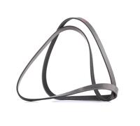 RIDEX PLUS 305P0089P Cinghia servizi per VW Polo Schrägheck (6R1, 6C1) POLO (9N)