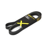 RIDEX PLUS 305P0106P Cinghia servizi