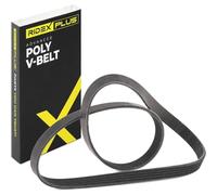RIDEX PLUS 305P0111P Cinghia servizi Cinghia Poly-V Cinghia alternatore Cinghia dei servizi