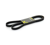 RIDEX PLUS 305P0222P Cinghia servizi