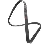 RIDEX PLUS 305P0406P Cinghia servizi per VW Golf IV Hatchback (1J1) 1264mm